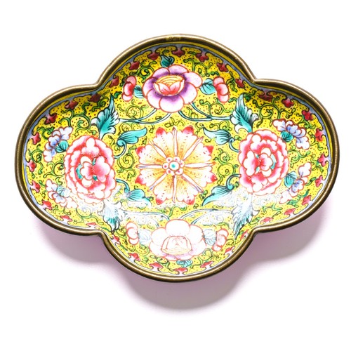 Chinese saucer rose - chinese,