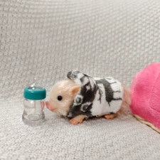 5 Inch Silicone Piglet Doll