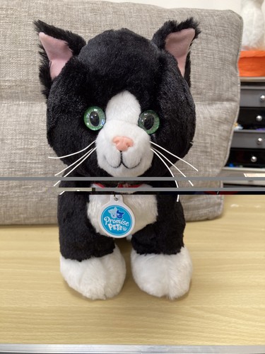 Build bear black cat promise - a,