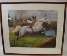 Desert Orchid Print Limited Edition 443/500 - by Sue Wingate