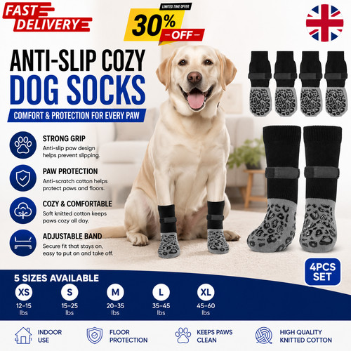 Pack anti slip dog socks - slip,