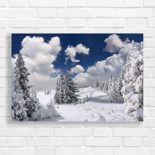 Serene winter wonderland - winter,