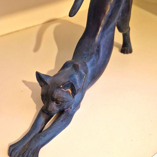 Border fine arts cat - fine,