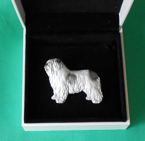 Polish lowland sheepdog dog - lowland,