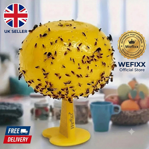 Fruit fly balls - fruit, trap