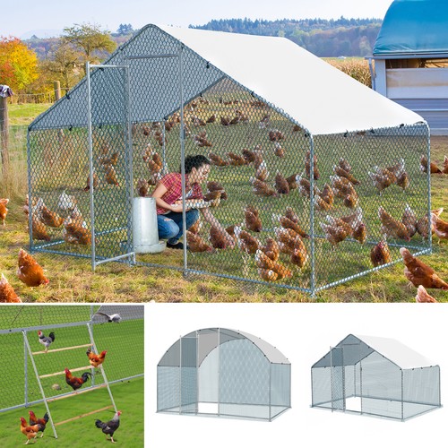 Walk chicken run galvanized - walk,