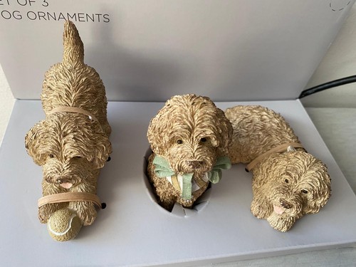 Next louis the labradoodle - next,