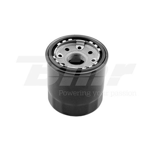 Filter oil - oil, cartridge