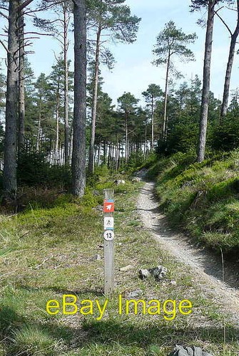 Photo 6x4 mountain bike trail - 6x4,