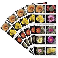 Cactus Flowers Booklet Stamps