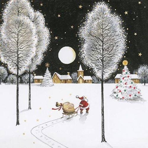 Christmas cards pack santa s - cards,