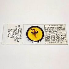 Quedius mesomelinus - Vintage