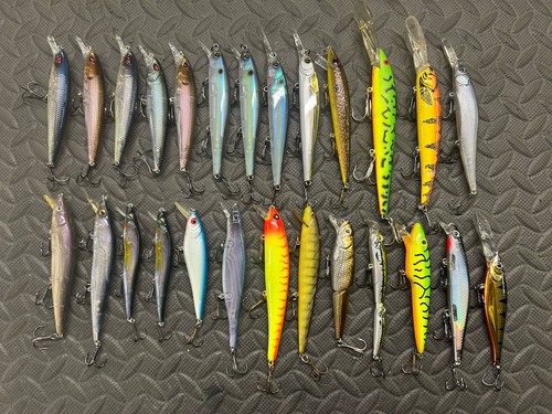Fishing lures jerkbaits - lures, yo