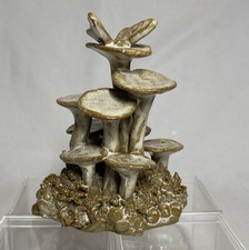 Stella Benford Wicksteed