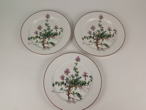 Villeroy boch botanica - villeroy,