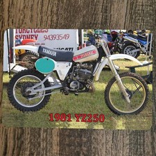 1981 Yamaha YZ250 Moto Cross