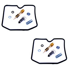 2x Carburetor Repair Kit for