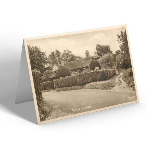 Notelet vintage surrey - notelet,
