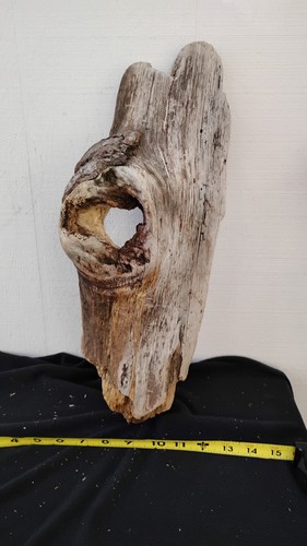 Driftwood with large - driftwood, hole