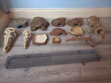 Leopard Gecko Keeping Supplies