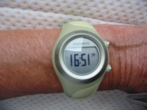 Stylish ladies garmin - stylish,