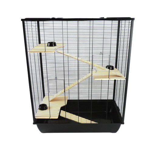 Little friends belfry hamster - friends,