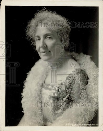 1924 press photo ambassadors - press,