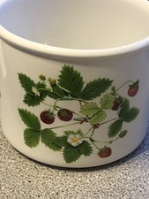 Portmeirion Summer Strawberries Plant Pot Holder 13cm tall