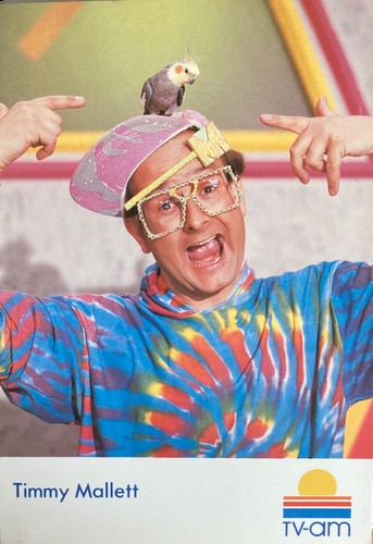 Timmy mallet wakaday - am,