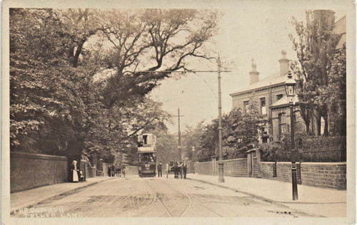 Bradford the old ash - bradford., ash,