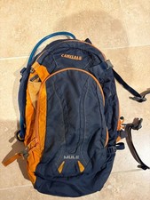 Camelbak Mule and Removable