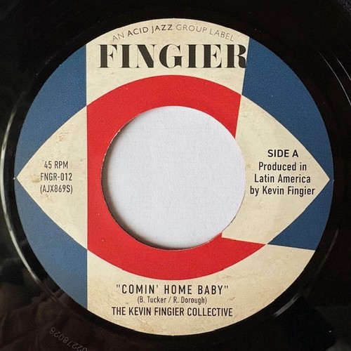 The kevin fingier collective - the,