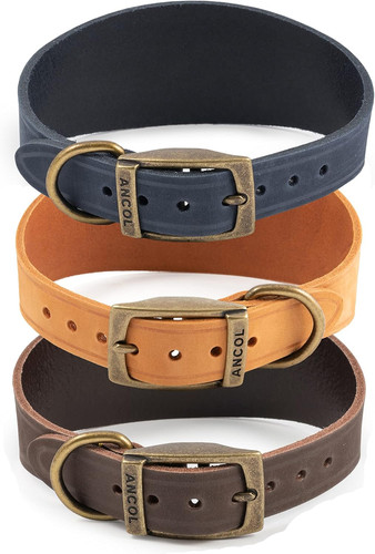 Whippet leather dog collar - whippet,