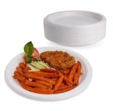100pcs Plastic Dinner