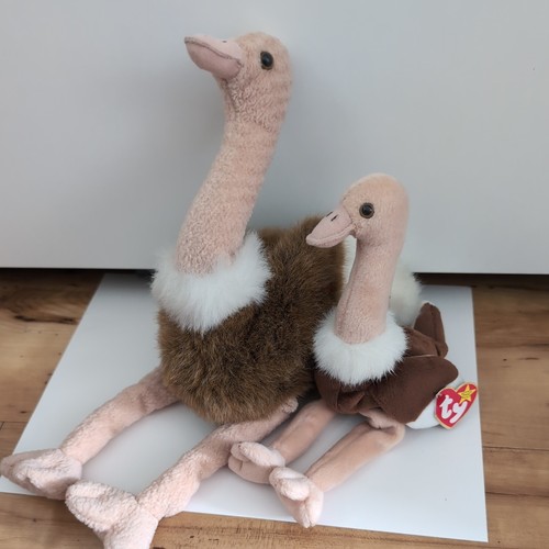 Stretch beanie buddy and - buddy,