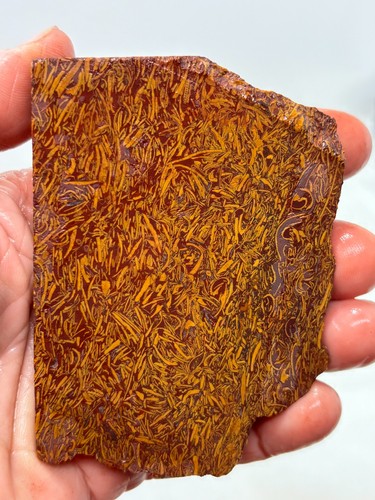 Script stone jasper slab - script,