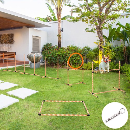 Pet agility training equipment - pet,