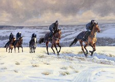Race Horses in the Snow