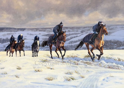 Race horses the - race,