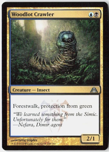 Magic woodlot crawler dragon - magic, dragon's