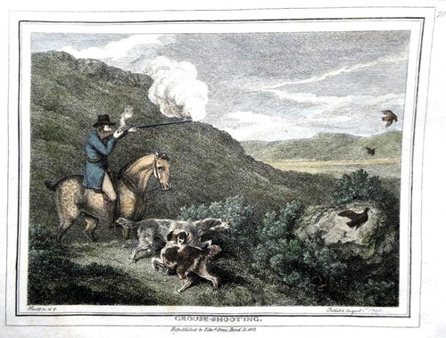 Grouse shooting samuel - grouse,