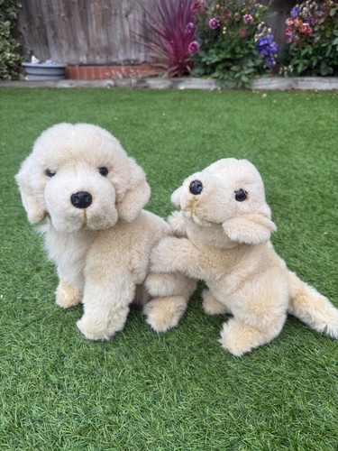 Classic golden retriever - classic,