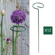 12X Metal Single Stem Plant Support Stakes 40cm Pole Spiral Plant Support Stakes