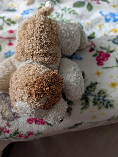 Doudou compagnie plush - compagnie,