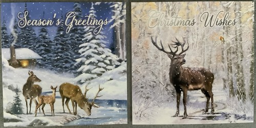 Boxed christmas cards - christmas,