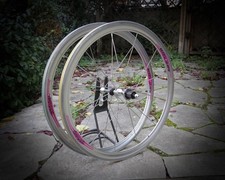 Campagnolo Shamal 12 HPW / 8sp