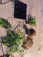 Snake Starter Pack Juvenile