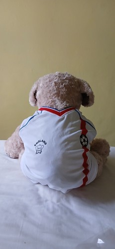 England shirt for dogs - shirt, by