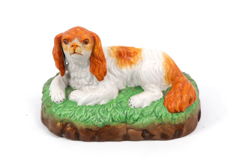 King charles spaniel - king, dog