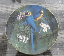 Bone China Plate 8"(20cm) "Blue and Yellow Macaws", Fragile Paradise, Wedgwood
